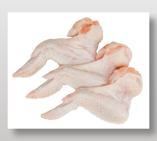 生肉鸡翅